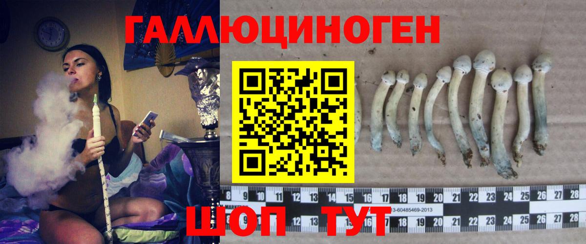 Галлюциногенные грибы мухоморы  Псилоцибиновые грибы мухоморы  сколько стоит  Котельники  Вход с VPN 