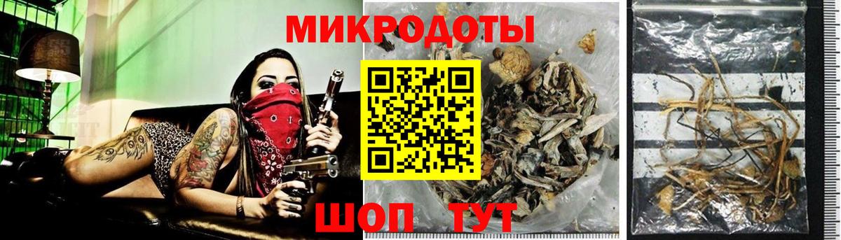 Псилоцибиновые грибы прущие грибы Котельники